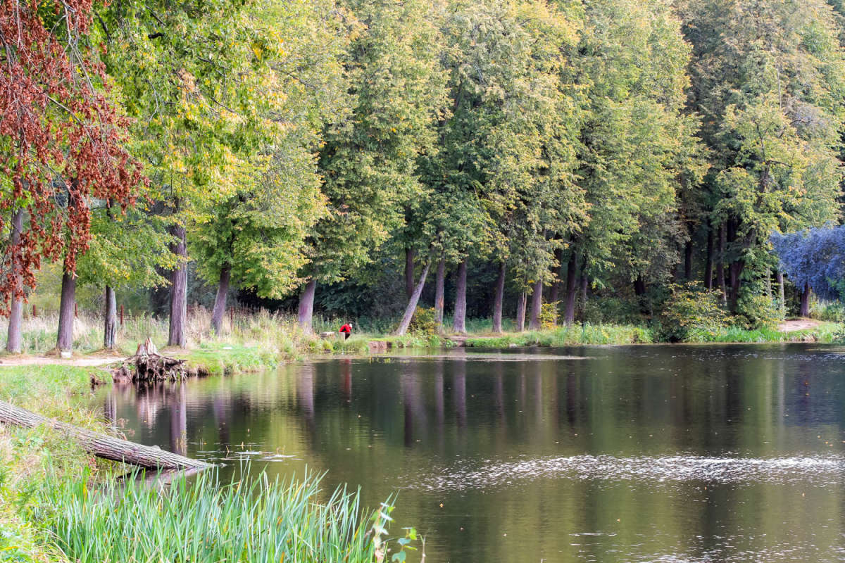 ���� ����� ���� ��������� �� PhotoGeek.ru #������ ��� ������� #��������