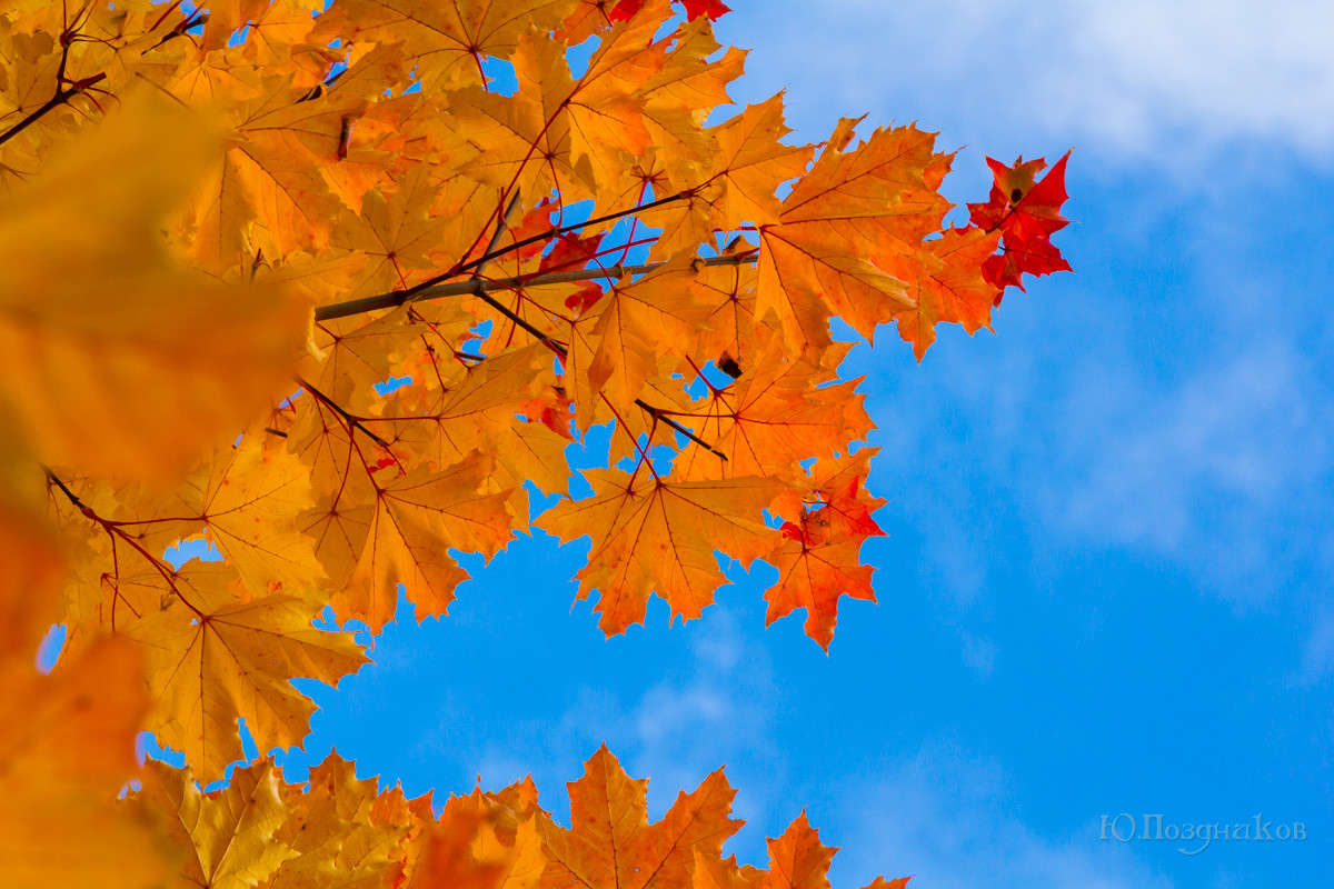 ������ ����� ���� ��������� �� PhotoGeek.ru #����� #��������� ������