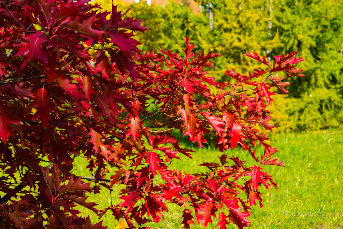 ����� ����� ���� ��������� �� PhotoGeek.ru #������ ��� ������� #����� ��������������