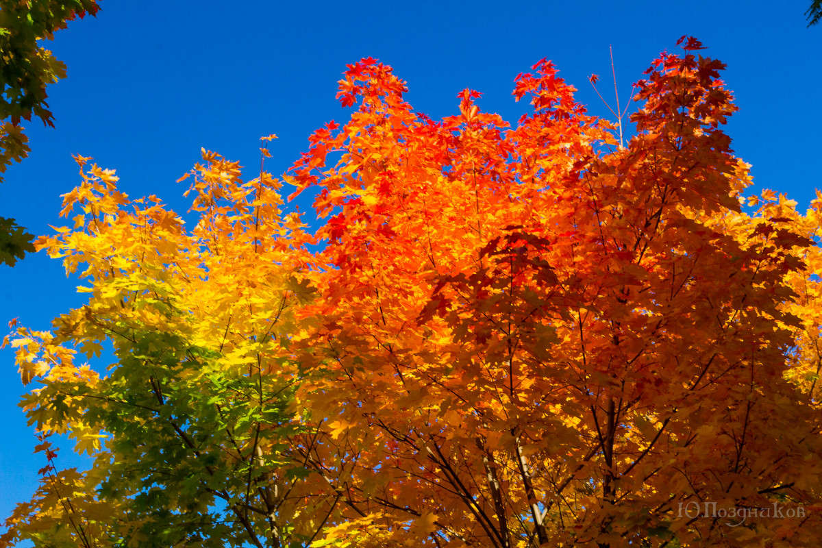 �������� ����� ���� ��������� �� PhotoGeek.ru #������ ��� ������� #����� ��������������