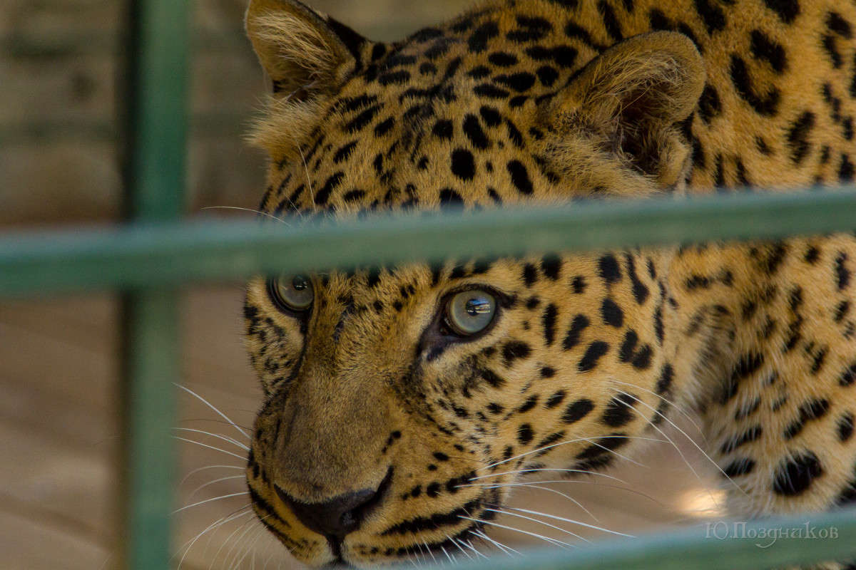 ����� ����� ���� ��������� �� PhotoGeek.ru #�������� ���