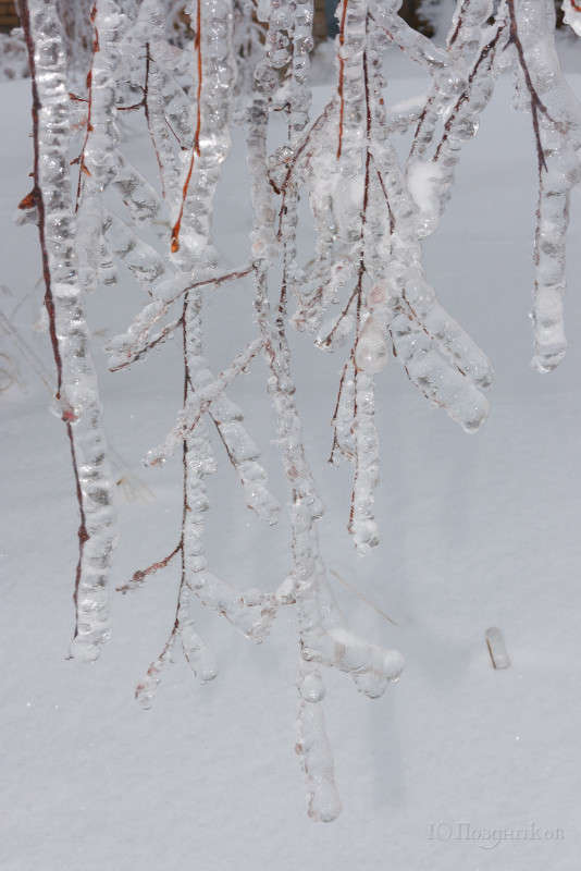 ������� ����� ����� ���� ��������� �� PhotoGeek.ru #������ ��� ������� #����� ��������������