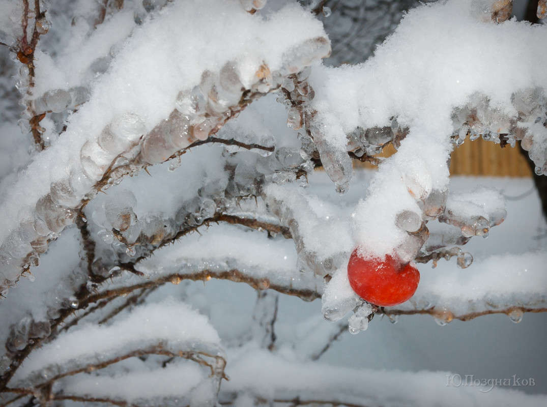 ���������� ����� ���� ��������� �� PhotoGeek.ru #������ ��� ������� #����� ��������������