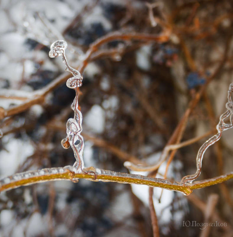 ����������� ������� ����� ���� ��������� �� PhotoGeek.ru #������ ��� ������� #����� ��������������