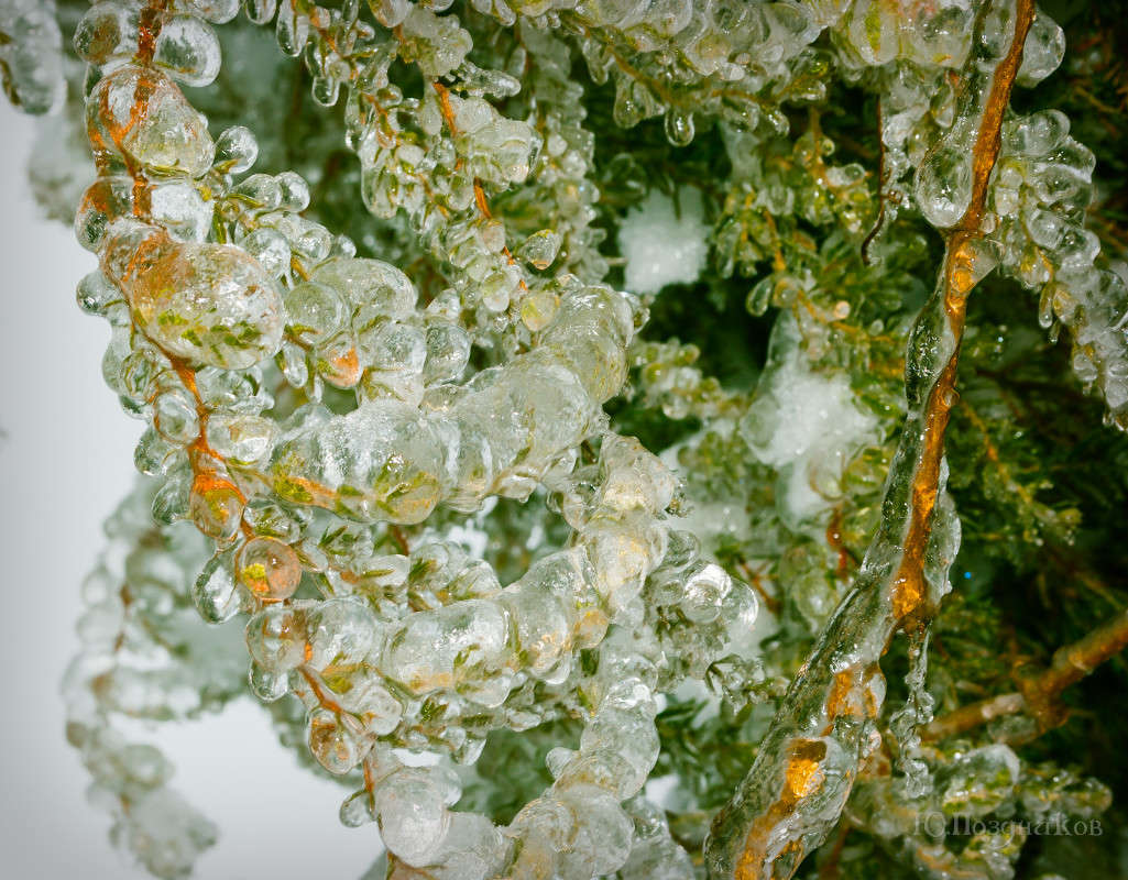 ����� ���� ������� ��������! ����� ���� ��������� �� PhotoGeek.ru #������ ��� ������� #����� ��������������