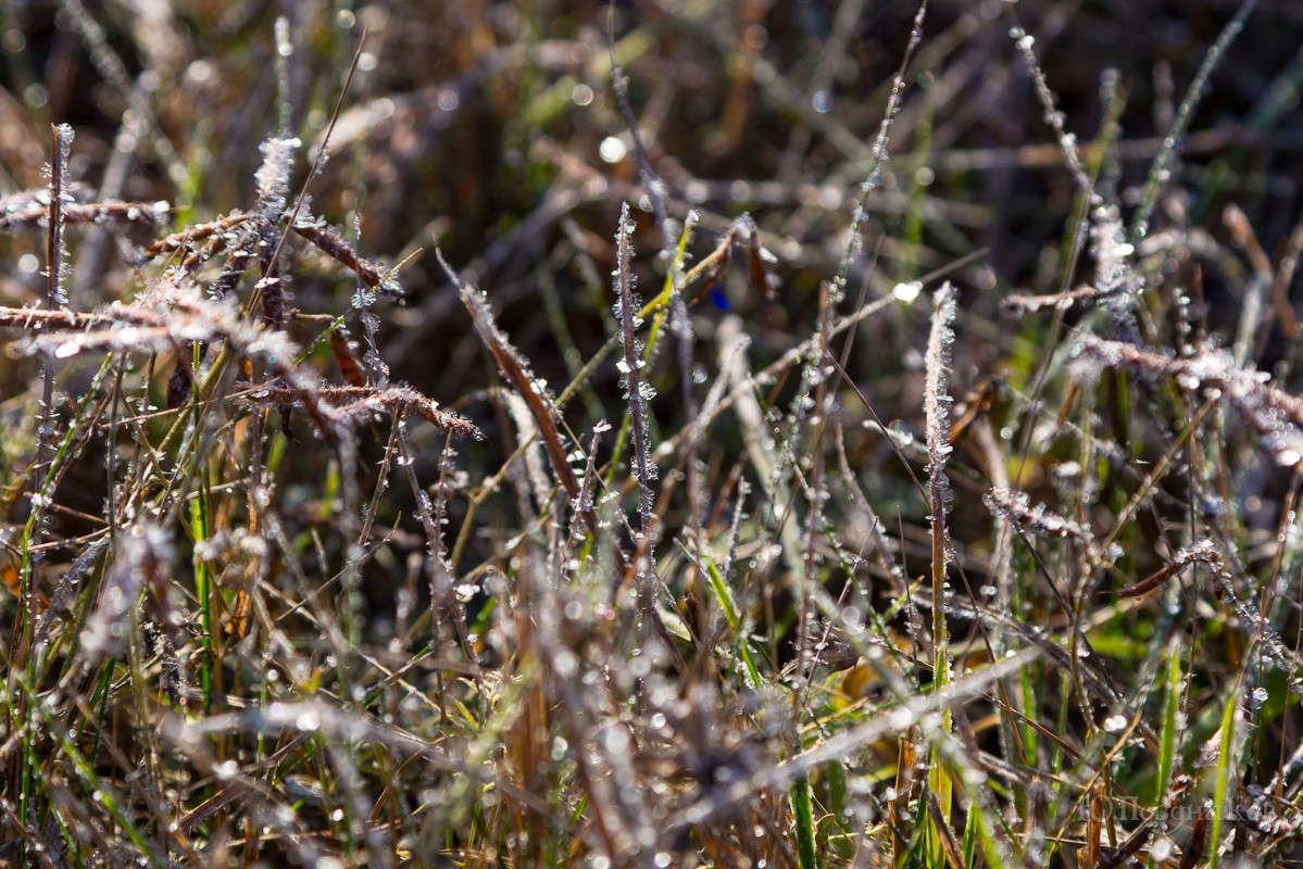 ���� ����� ���� ��������� �� PhotoGeek.ru #������ ��� ������� #���������