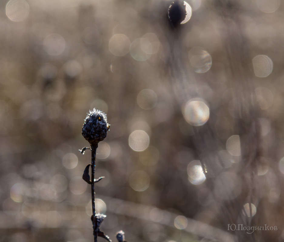 ... ����� ���� ��������� �� PhotoGeek.ru #������ ��� ������� #����� ��������������