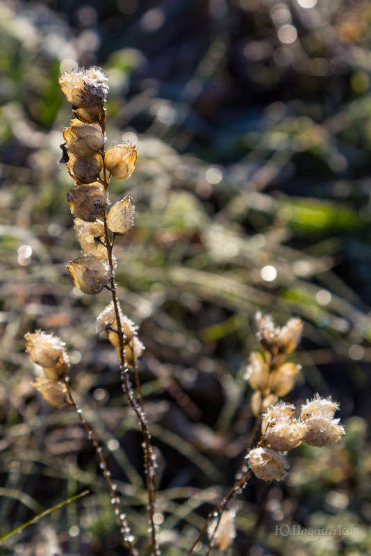 �������� ����� ���� ��������� �� PhotoGeek.ru #������ ��� ������� #����� �������������� #���������