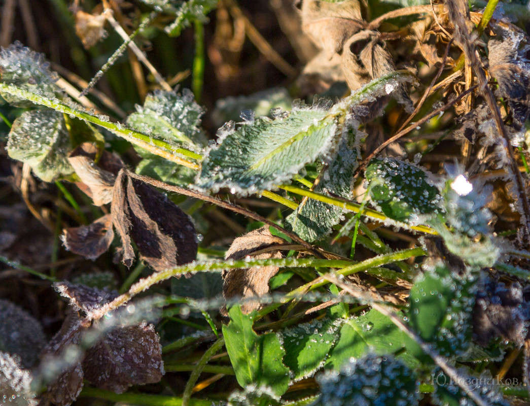 ��� ����� ����� ���� ��������� �� PhotoGeek.ru #������ ��� ������� #����� �������������� #���������