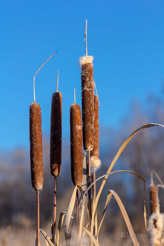 ����� ����� ���� ��������� �� PhotoGeek.ru #������ ��� ������� #����� �������������� #���������