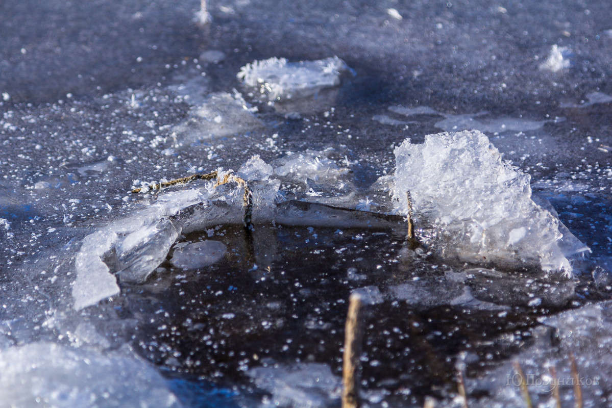 ������� ������������) ����� ���� ��������� �� PhotoGeek.ru #������ ��� ������� #����� �������������� #���������