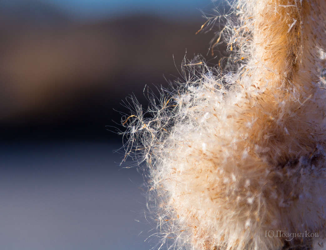 ���������� ����� ���� ��������� �� PhotoGeek.ru #������ ��� ������� #����� �������������� #���������