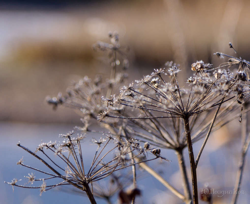 ������� ����� ���� ��������� �� PhotoGeek.ru #������ ��� ������� #����� �������������� #���������