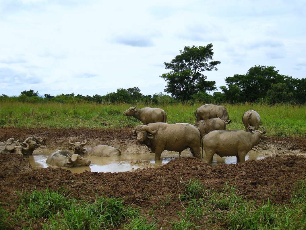 ����������� �������� �����, ������. ����� unix  �� PhotoGeek.ru #�������� ��� #������ ��� ������� #��������