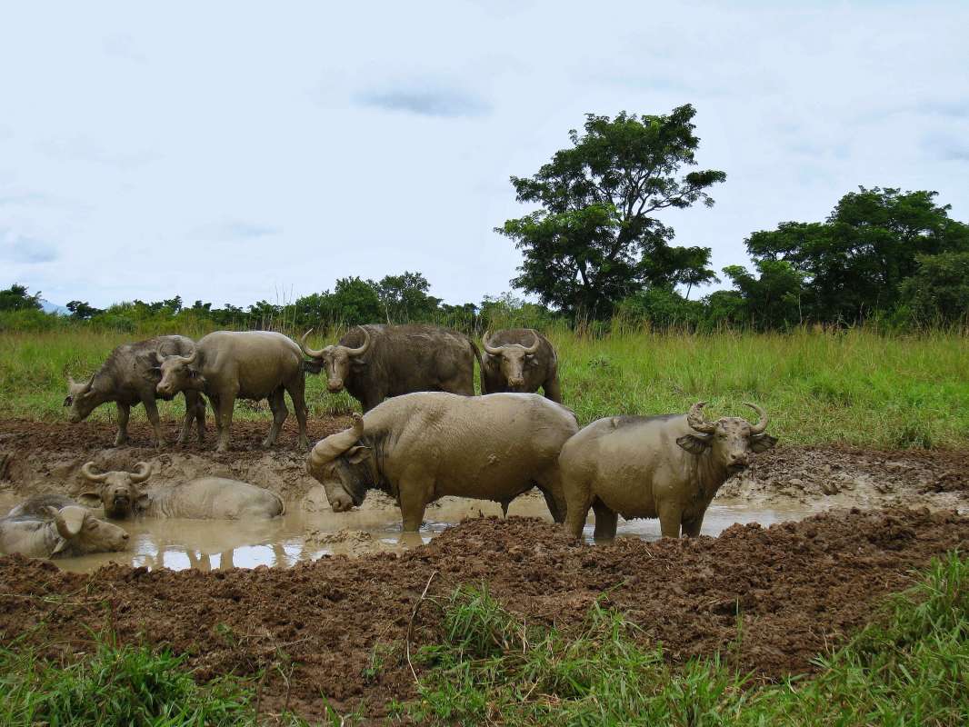 �������� ����� � ������. ����� unix  �� PhotoGeek.ru #�������� ��� #������ ��� ������� #�������� ���������� #��������