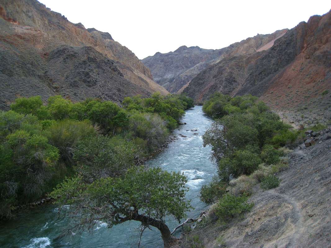 ��������� ������, ���������. ����� unix  �� PhotoGeek.ru #������ #������ ��� ������� #�������� ���������� #���������