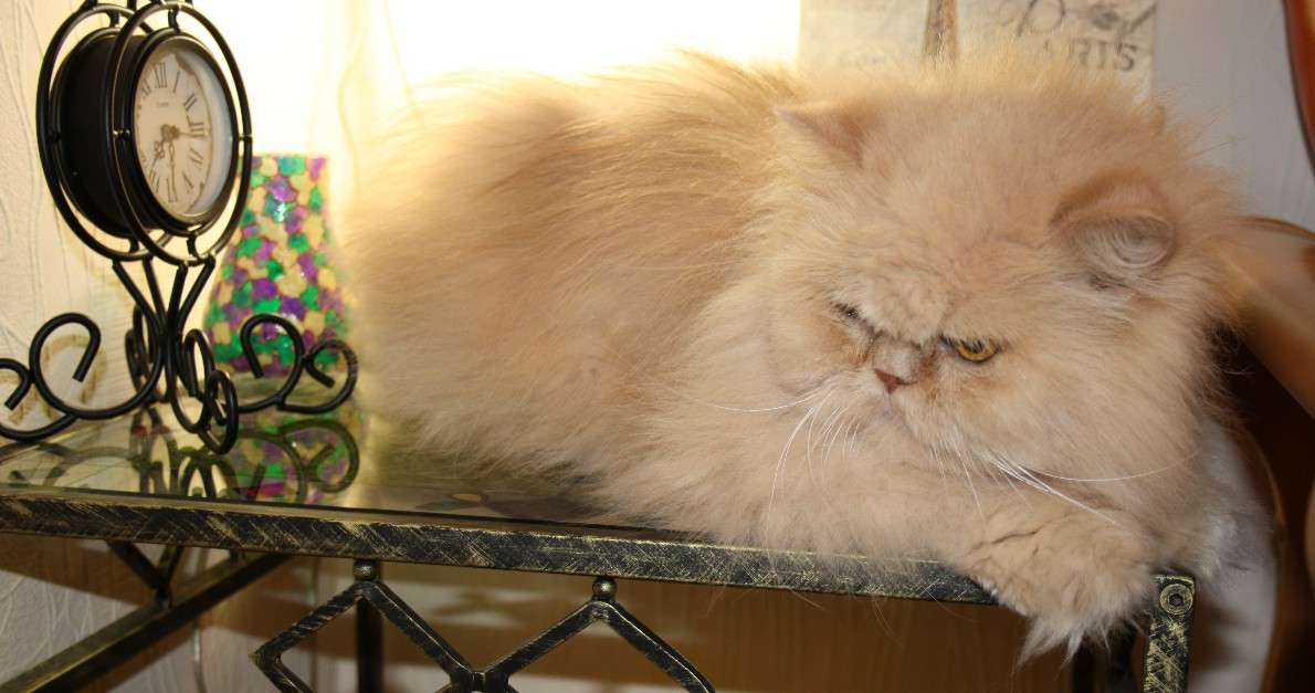 ��������� ������� ����� �������� ������� �� PhotoGeek.ru #�������� ��� #�������� ���