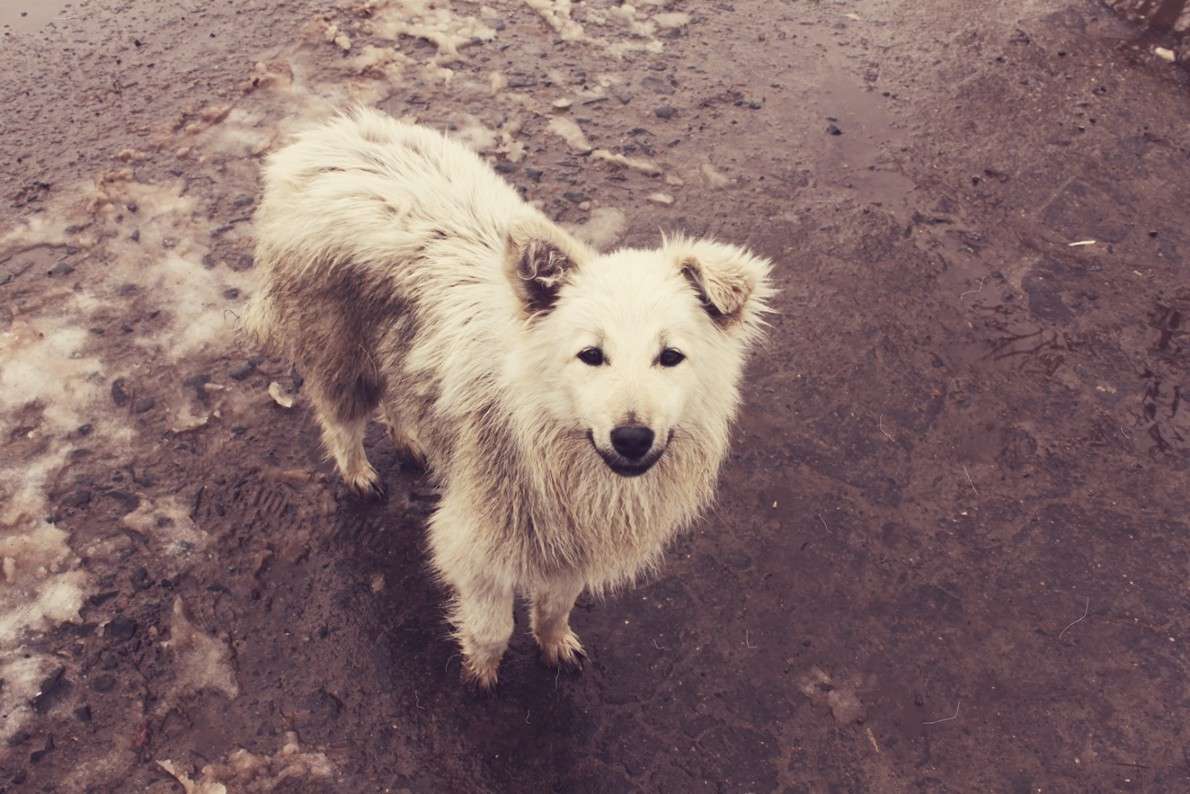 ��������� ��� ����� ����� ��������� �� PhotoGeek.ru #�������� ��� #������ ��� �������