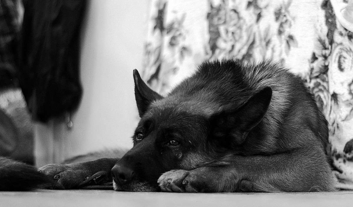 �������� ����� ����  �� PhotoGeek.ru #����� #�������� ��� #������� #������ ������ #�����-�����