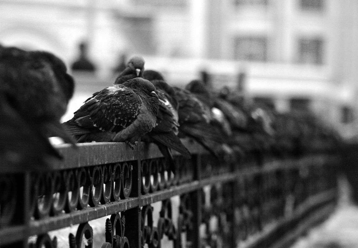 ������������ ����� ����  �� PhotoGeek.ru #����� #�������� ��� #������ ���� #������ ������ #��������� ������ #����� ��� ��� ��������� #�����-�����