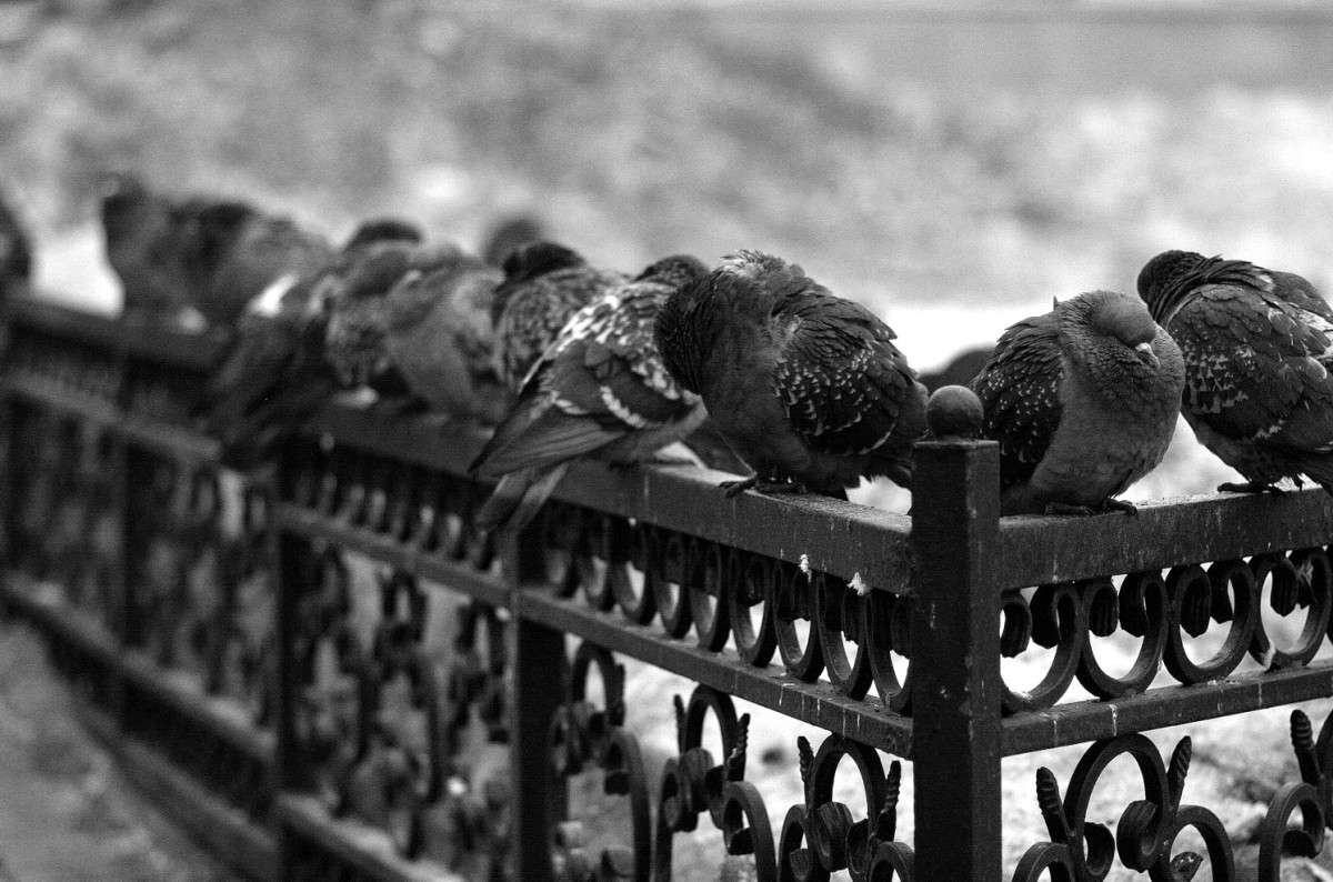 ������ ����� ����  �� PhotoGeek.ru #����� #�������� ��� #������ ���� #������ ������ #��������� ������ #����� ��� ��� ��������� #�����-�����