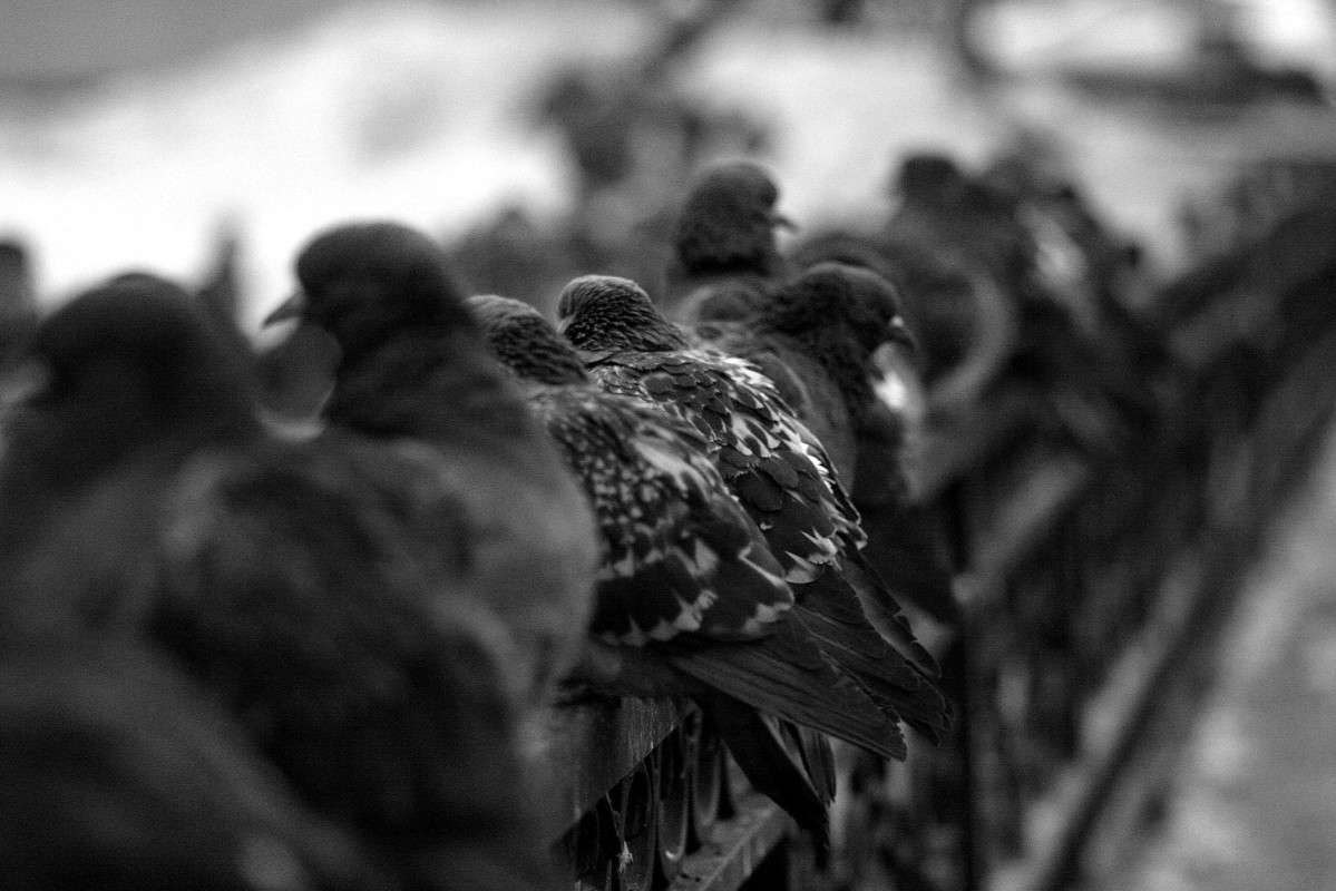 2����� ����� ����  �� PhotoGeek.ru #����� #�������� ��� #������ ���� #������ ������ #��������� ������ #����� ��� ��� ��������� #�����-�����