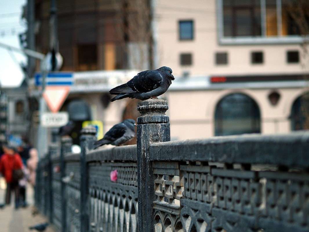 ������� ����� ����  �� PhotoGeek.ru #����� #�������� #������ ���� #������ ������ #��������� ������