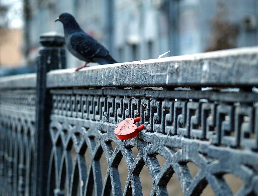 ����� ����� ����  �� PhotoGeek.ru #����� #�������� ��� #������ ���� #������ ������ #��������� ������ #�����-���