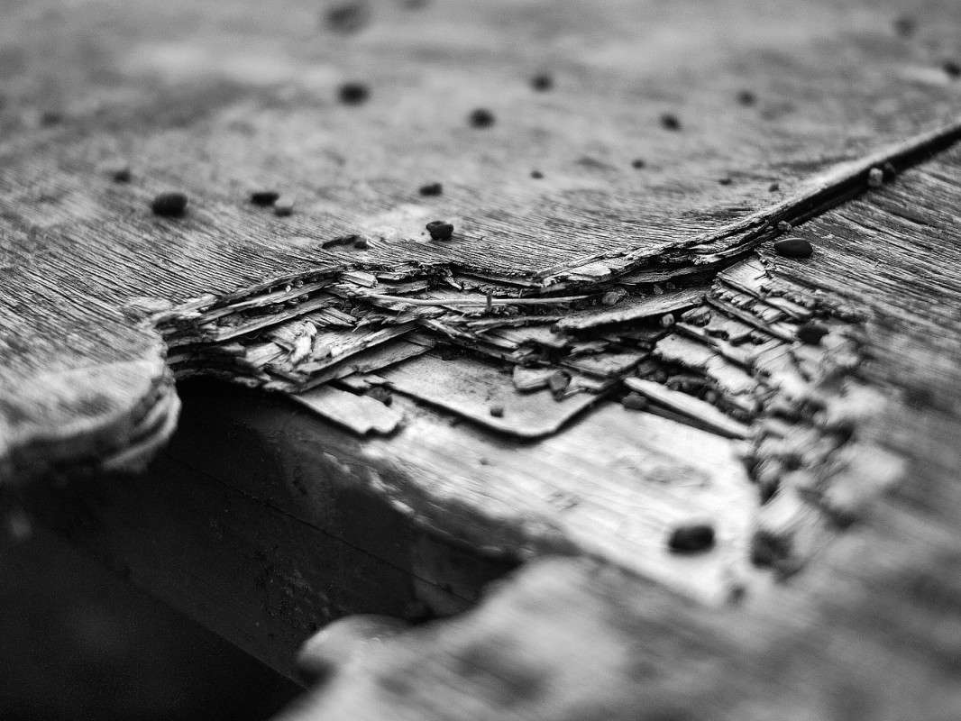 ������ ����3 ����� ����  �� PhotoGeek.ru #����� #����������� #������ ���� #������ ������ #��������� ������ #�����-�����