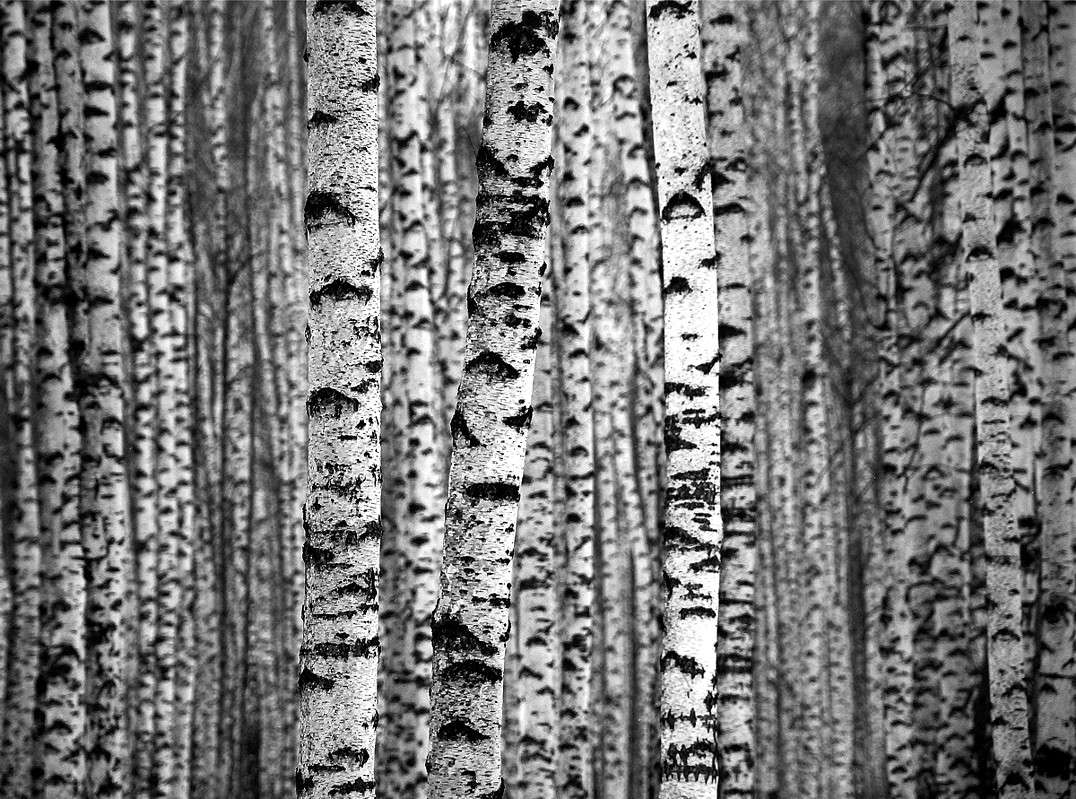 ���� ����� ����  �� PhotoGeek.ru #������ ��� ������� #��������� #������ #����� �������� #�����-�����