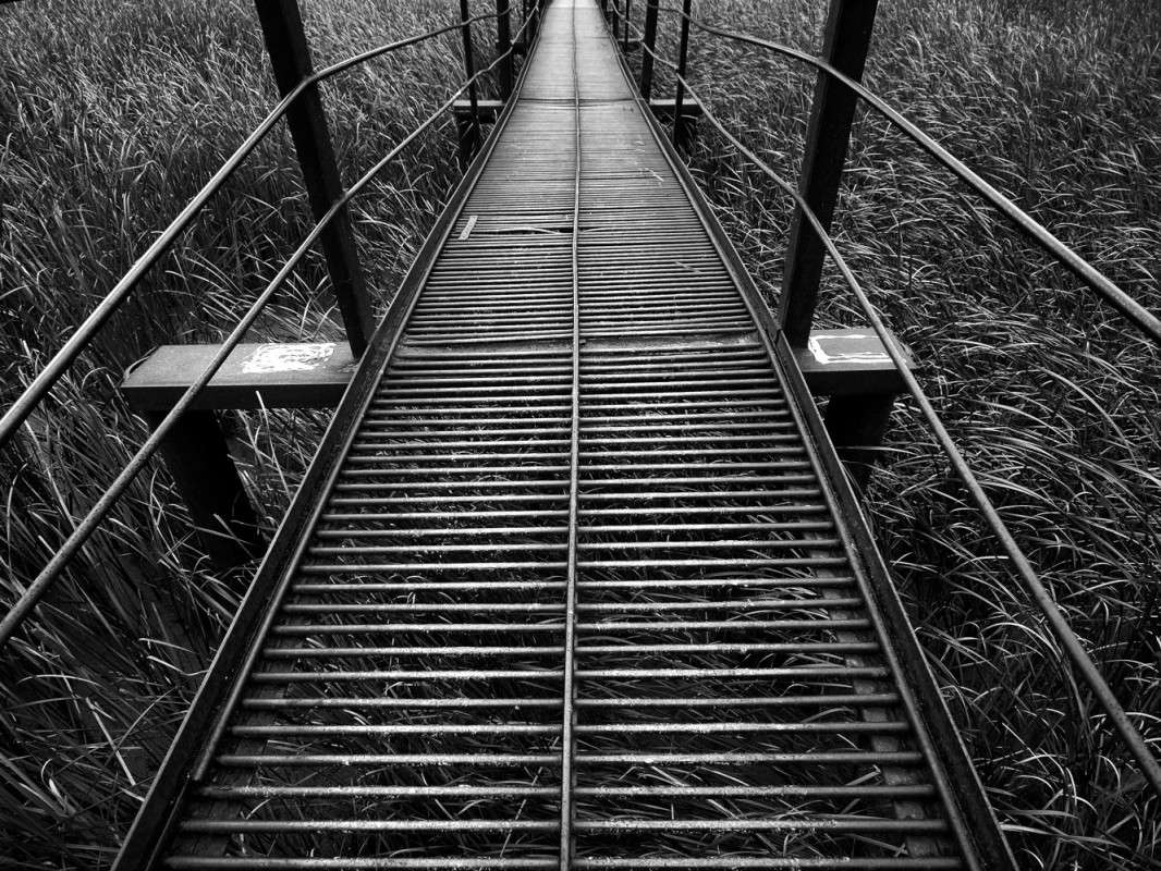 �����/������� ����� ����  �� PhotoGeek.ru #������ ��� ������� #����� �������������� #��������� #������ #����� �������� #�����-�����