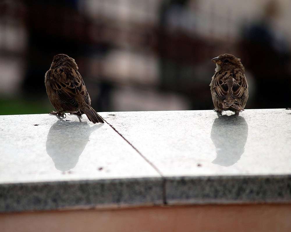 ����� ����� ����  �� PhotoGeek.ru #����� #�������� ���������� #�������� #������ ������ #��������� ������