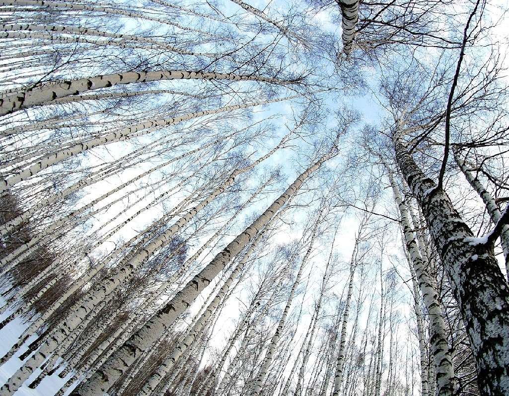 ������ ����� ����  �� PhotoGeek.ru #������ ��� ������� #����� �������������� #��������� #������ #����� ��������