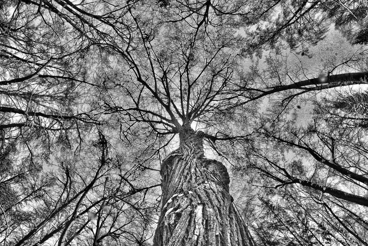 ������� ����� ����  �� PhotoGeek.ru #������ ��� ������� #����� �������������� #��������� #������ #����� �������� #�����-�����