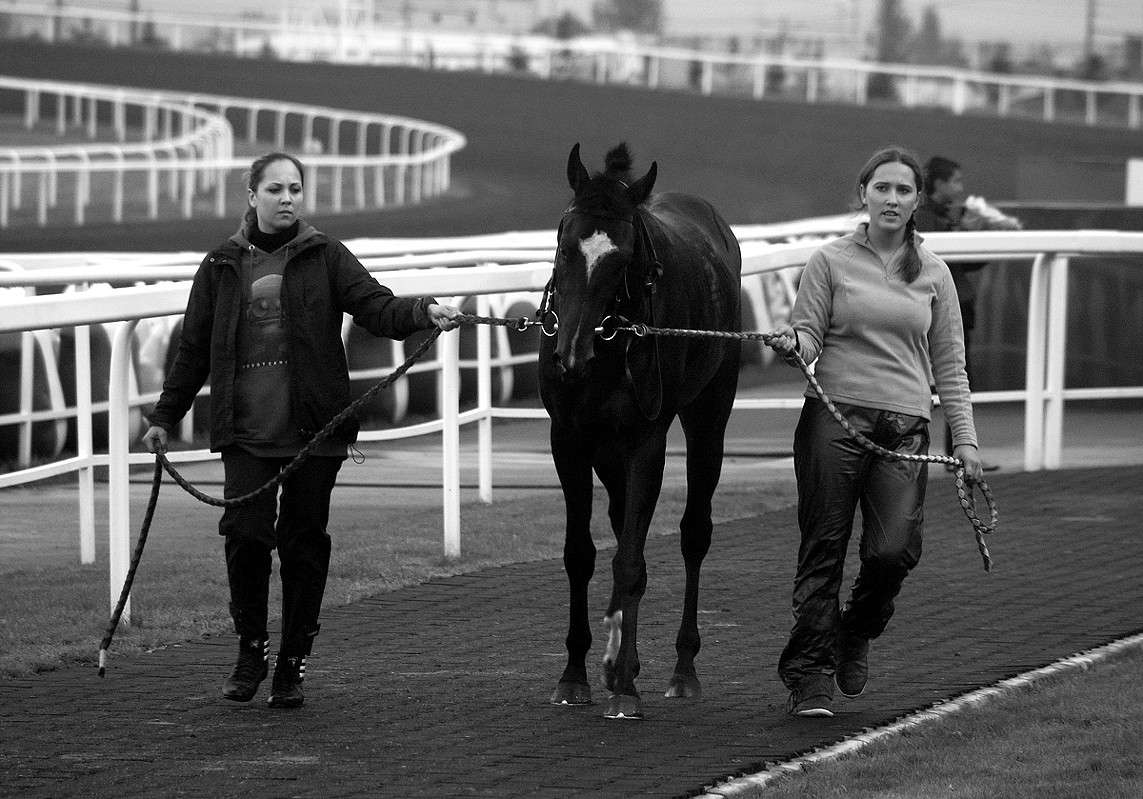 ���/���� ����� ����  �� PhotoGeek.ru #����� #�������� ���������� #�������� #��������������� #�����-�����