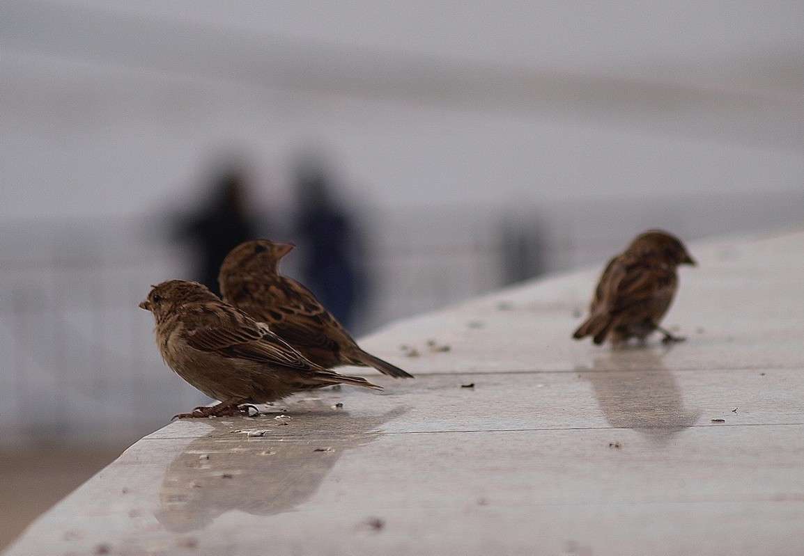 �������� ����� ����  �� PhotoGeek.ru #����� #������ ��� ������� #������ ������ #��������� #������ #����� ��������