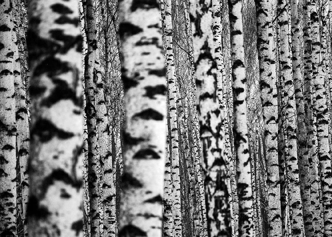 ����/2 ����� ����  �� PhotoGeek.ru #������ ��� ������� #����� �������������� #��������� #������ #����� �������� #�����-�����