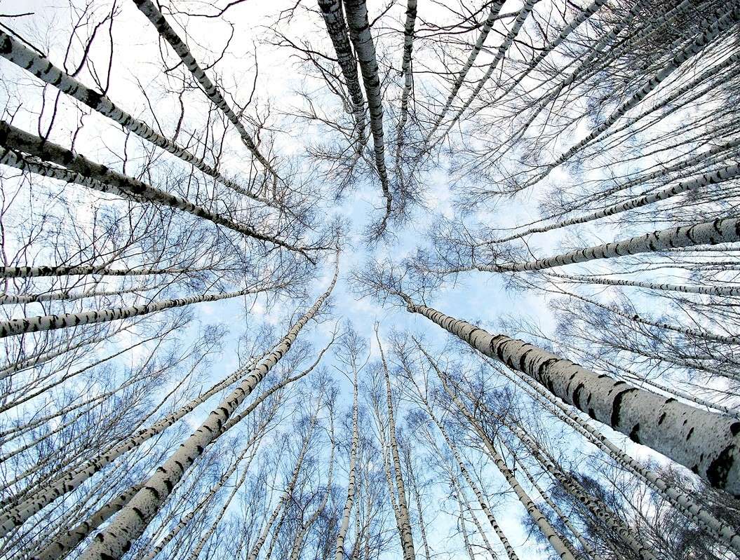 ���/���� ����� ����  �� PhotoGeek.ru #������ ��� ������� #����� �������������� #��������� #������ #����� ��������