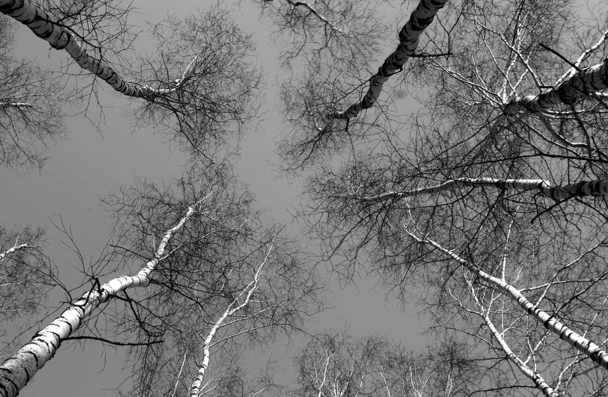 �������� ����� ����  �� PhotoGeek.ru #������ ��� ������� #����� �������������� #��������� #������ #����� �������� #�����-�����