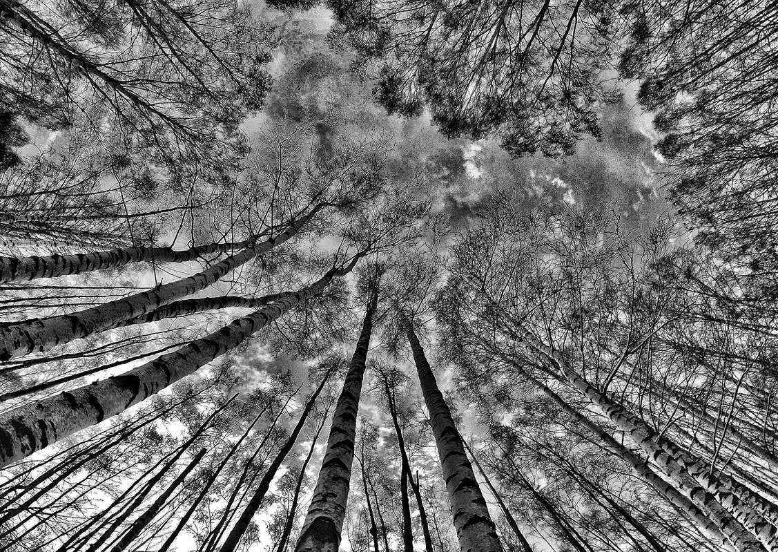 �����/2 ����� ����  �� PhotoGeek.ru #������ ��� ������� #����� �������������� #��������� #������ #����� �������� #�����-�����