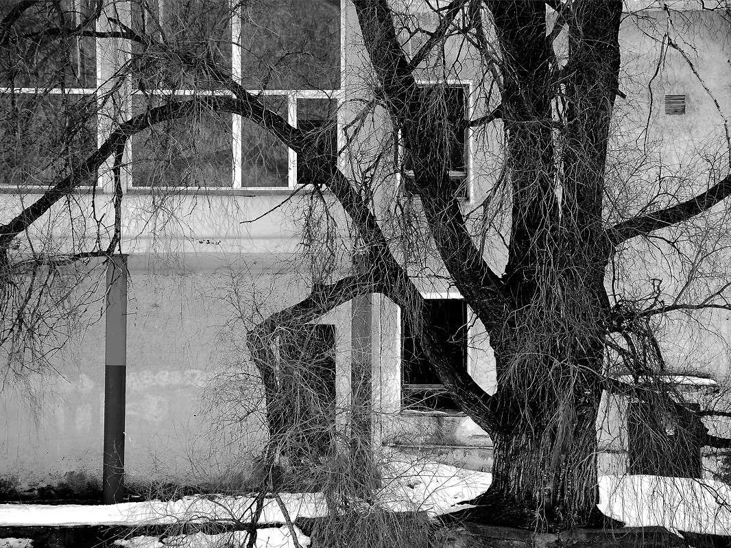 ��������/������ �� ����� ����  �� PhotoGeek.ru #����� #������ ��� ������� #����������� #������ ������ #��������� ������ #��������� #������ #����� �������� #�����-�����