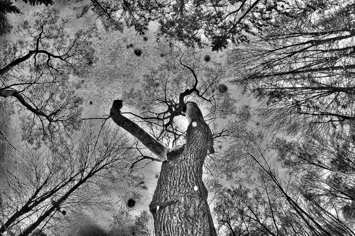 �������/�2 ����� ����  �� PhotoGeek.ru #������ ��� ������� #����� �������������� #��������� #������ #����� �������� #�����-�����