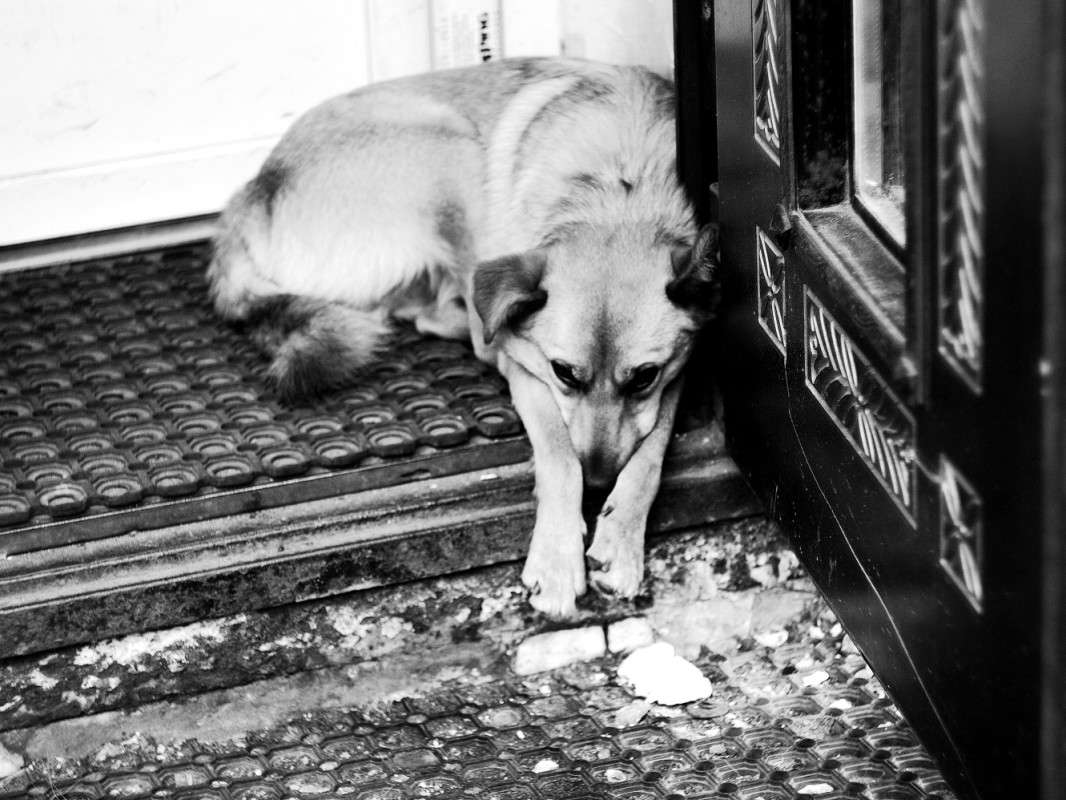 ��� ������ ����� ����  �� PhotoGeek.ru #����� #�������� ��� #������� #�������� #������ ���� #������ ������ #�����-�����