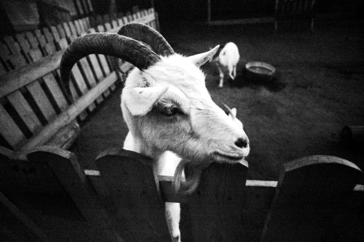 ������� ����� ����  �� PhotoGeek.ru #����� #�������� ���������� #������� #�������� #������ ���� #������ ������ #��������� ������ #��������������� #������ #�����-���� #�����-�����