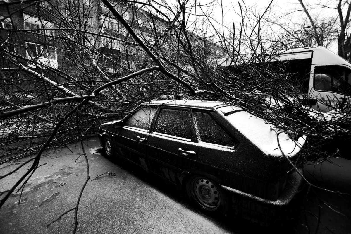 ������� ����� ����  �� PhotoGeek.ru #����� #�������� ���������� #����������� #�������� #������ ������ #��������������� #�����-���� #�����-�����