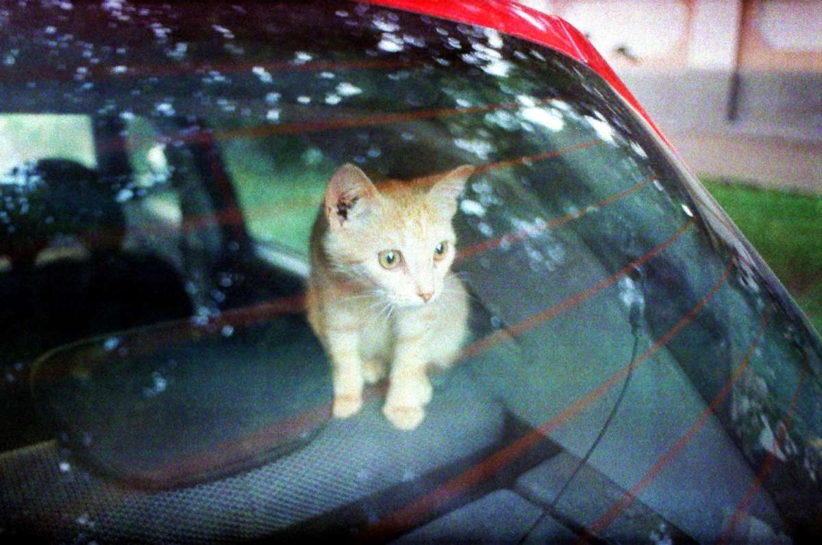 ������� ����� ����  �� PhotoGeek.ru #����� #�������� ��� #�������� ���������� #������� #�������� #������ ���� #������ ������ #����� ��� ��� ��������� #��������������� #�����-����