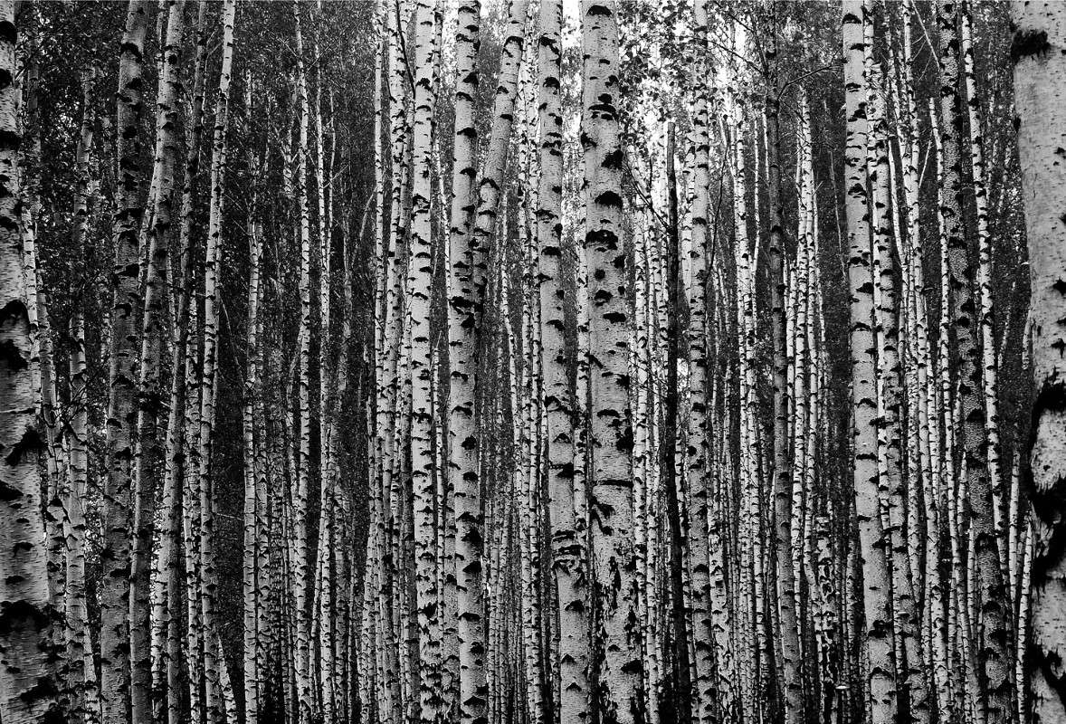 ����� ����� ����  �� PhotoGeek.ru #������ ��� ������� #����� �������������� #��������� #������ #����� �������� #�����-�����