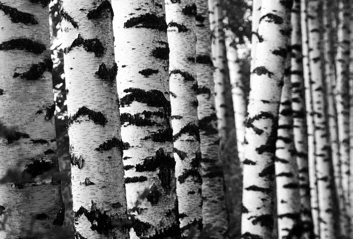 ������/�� ����� ����  �� PhotoGeek.ru #������ ��� ������� #����� �������������� #��������� #������ #����� �������� #�����-�����