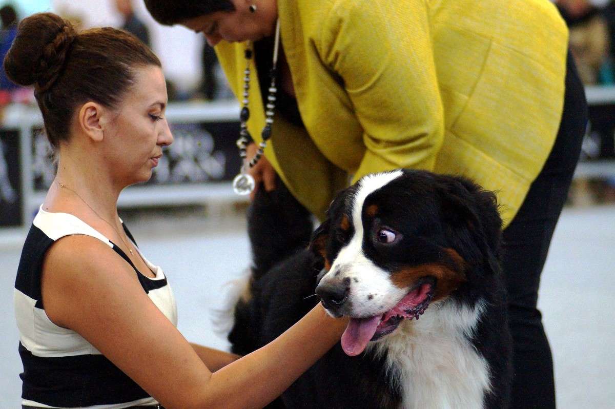 ������ ����� ����  �� PhotoGeek.ru #������� #����� #����� #�������� ��� #�������� ���������� #�������� #������ ������ #�������������� ���� #���������������