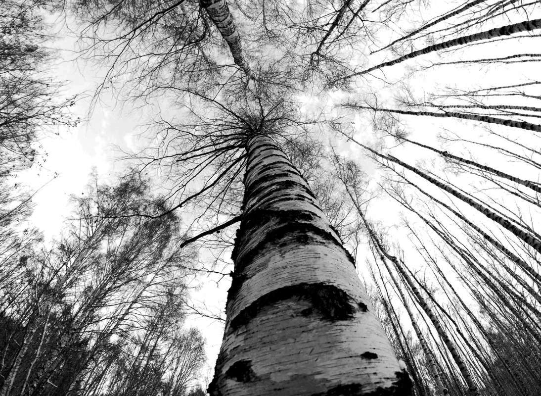 �����/������ ����� ����  �� PhotoGeek.ru #������ ��� ������� #��������� #������ #����� �������� #�����-�����